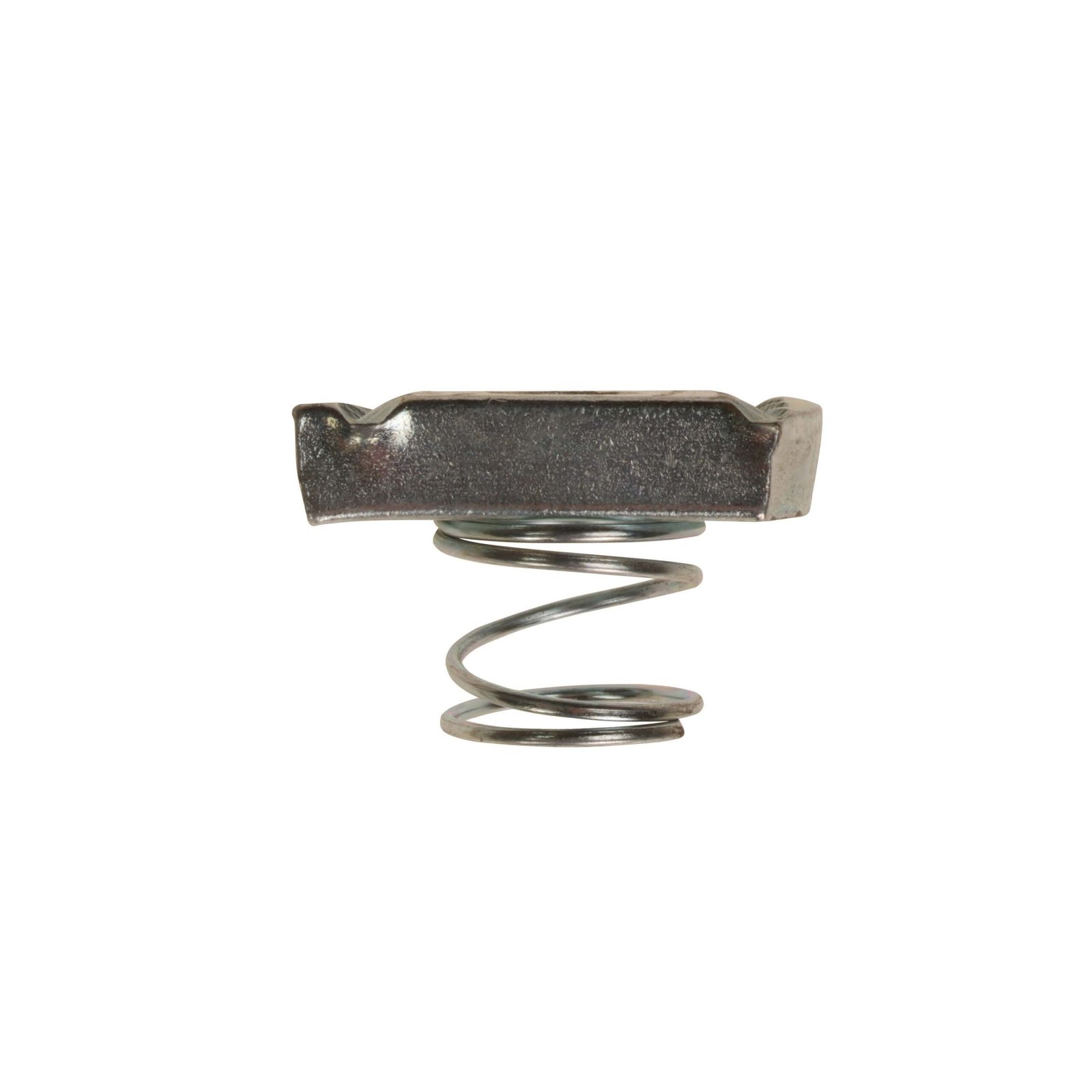 TSSN Channel Slide Nuts